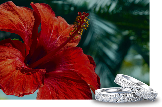 ハワイアンリング特集 | ブライダルリング特集 | 婚約指輪・結婚指輪の 